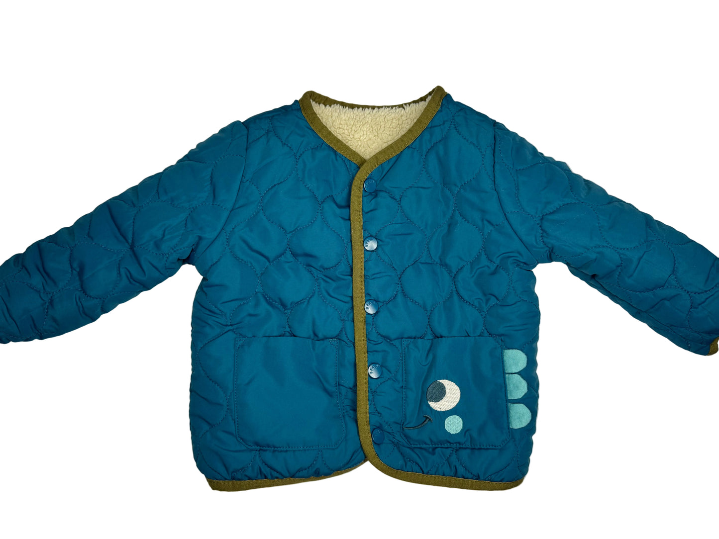 DPAM Dinosaur Jacket
