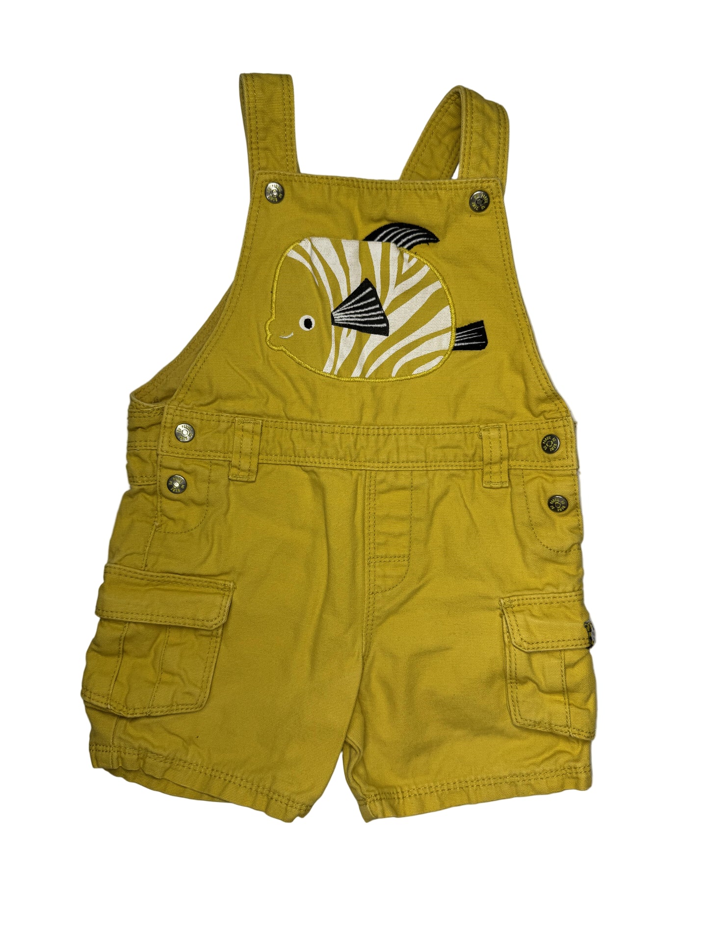 DPAM Overall