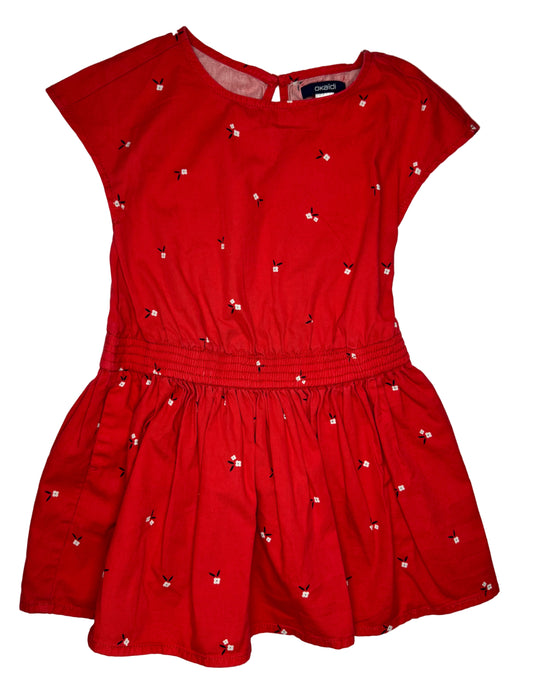 Christmas dress French Le Petit look