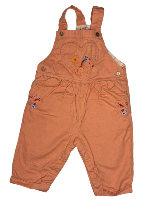 DPAM Overall