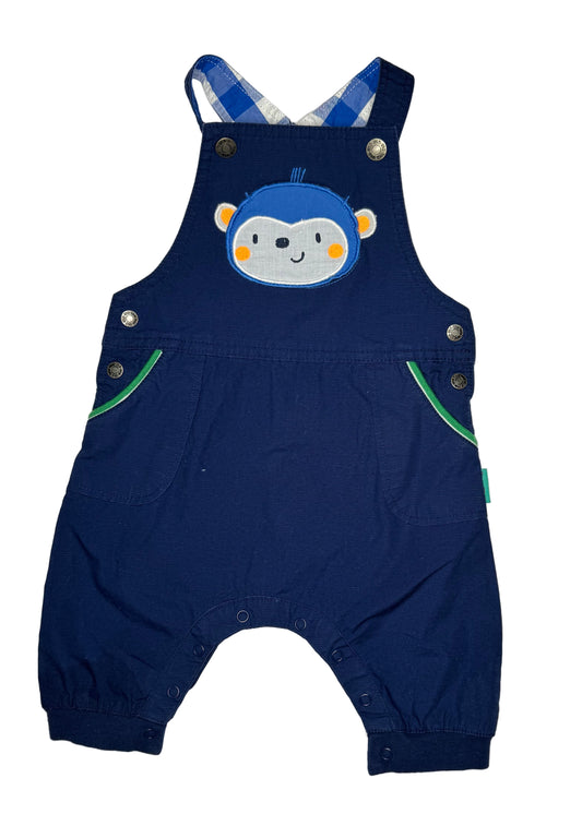 DPAM Overall