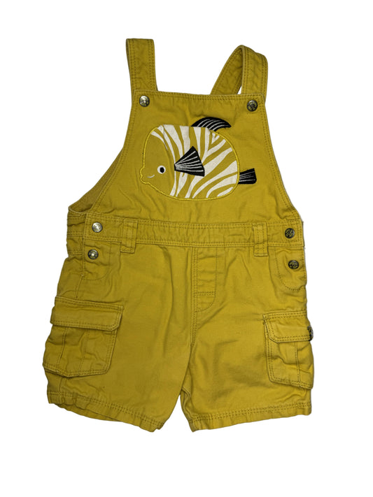 DPAM Overall